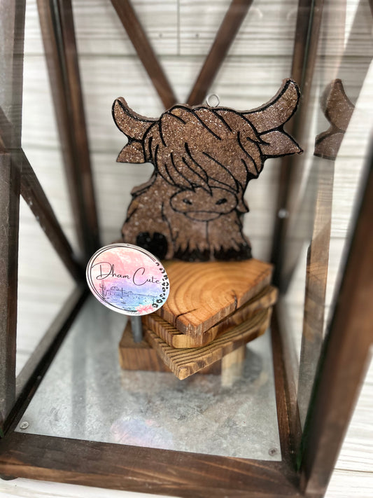 Highland Cow